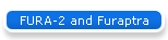 FURA-2 and Furaptra