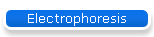 Electrophoresis