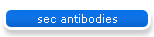 sec antibodies