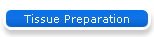 Tissue Preparation