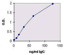 graph/0801182SC.jpg (4698 bytes)