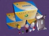 Food Safety And Animal Test Elisa Kit