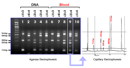 Direct ApoE genotyping from Blood