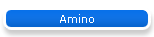 Amino