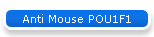 Anti Mouse POU1F1