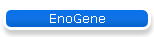 EnoGene