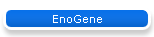 EnoGene