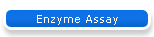 Enzyme Assay