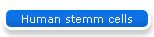 Human stemm cells