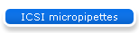 ICSI micropipettes