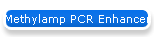 Methylamp PCR Enhancer