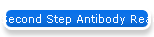 Second Step Antibody Reagents