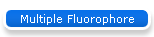 Multiple Fluorophore