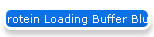 Protein Loading Buffer Blue (2X)