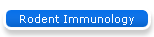 Rodent Immunology