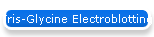 Tris-Glycine Electroblotting Buffer (10X)